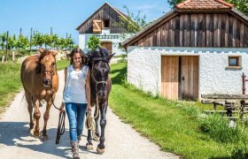 Pferdemomente, © Cornelia Ulrich Pferdemomente, © Cornelia Ulrich