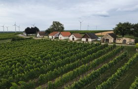 Genuss am Strom, Genuss am Fluss, © Ian Ehm || friendship.is Kellergasse entlang eines Weges und grüne Weingärten.