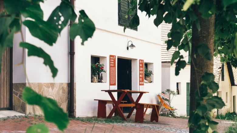 Falkenstein Kellergasse, © Niederösterreich Werbung / Franziska Reichl Ein gemütlicher Weinkeller in der Falkenstein Kellergasse mit Holztisch und Pflanzen.
