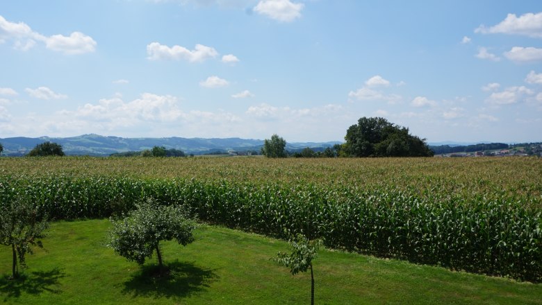 Ausblick, © Eva Gruber Ausblick, © Eva Gruber