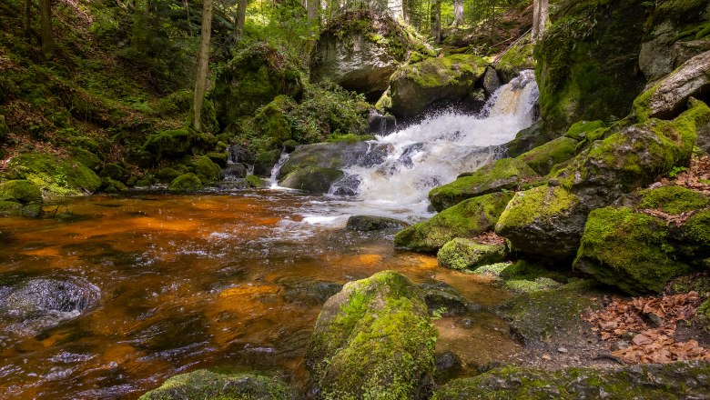 Ysperklamm, © Waldviertel Tourismus, Martin Rehberger Ein kleiner Wasserfall in einem bewaldeten Gebiet mit moosbedeckten Felsen und klarem Wasser.