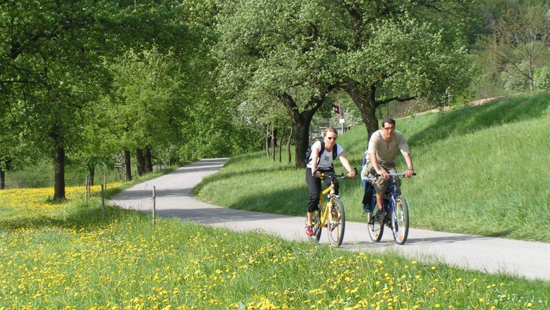 Traisentalradweg, © zVg Marktgemeinde Traisen Zwei Radfahrer auf einem Weg im Grünen, umgeben von blühenden Wiesen und Bäumen.