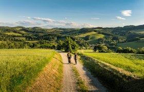 Ausblick am Bener, © Wiener Alpen / Fülöp, Kremsl Zwei Personen wandern auf einem Schotterweg durch eine hügelige Landschaft mit grünen Feldern und Wäldern unter blauem Himmel.