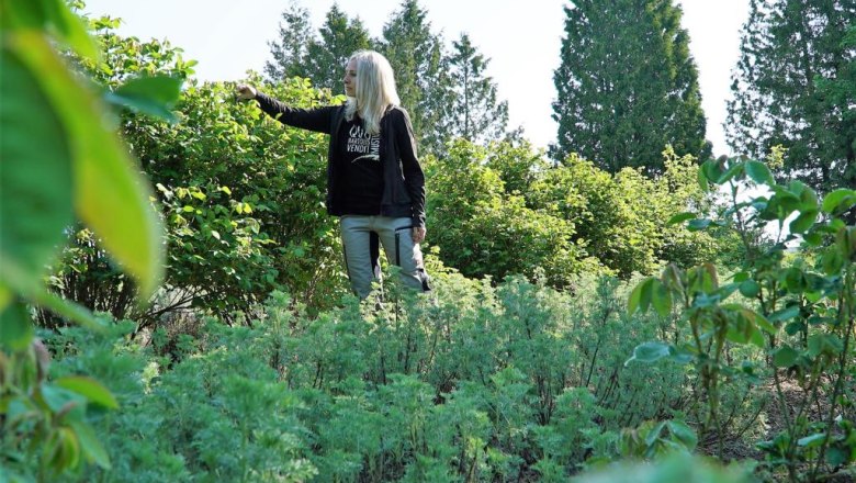 Echt vom Land, © Degnfilm Echt vom Land, © Degnfilm