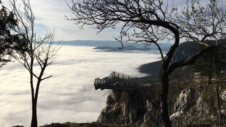 Blick ins Nebelmeer, © Naturpark Hohe Wand Aussichtsplattform über einem Nebelmeer in den Bergen, umgeben von kahlen Bäumen.