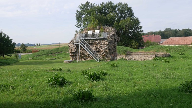 Burg Sachsendorf, © ARDIG Ruine der Burg Sachsendorf mit grüner Wiese und Bäumen im Hintergrund.