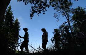 Lyrikweg, © Marktgemeinde Ottenschlag Lyrikweg, © Marktgemeinde Ottenschlag