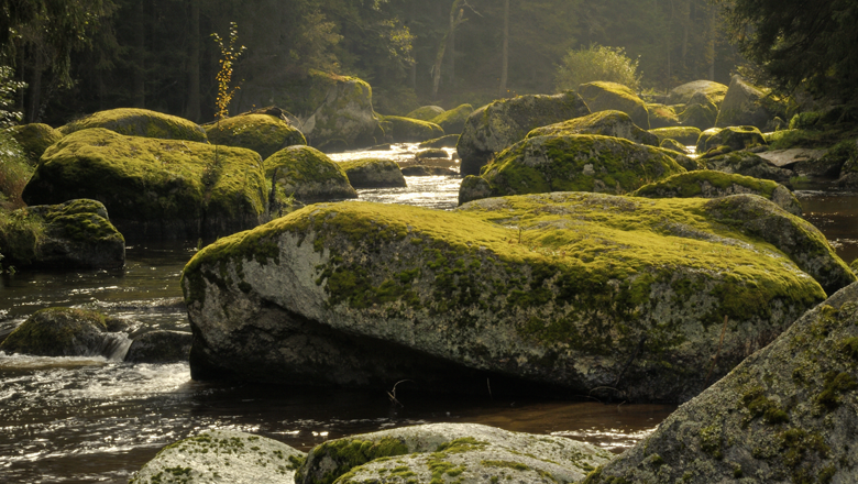 Kamptal zwischen Zwettl und Roiten, © Matthias Schickhofer Fluss mit moosbedeckten Felsen im Kamptal.