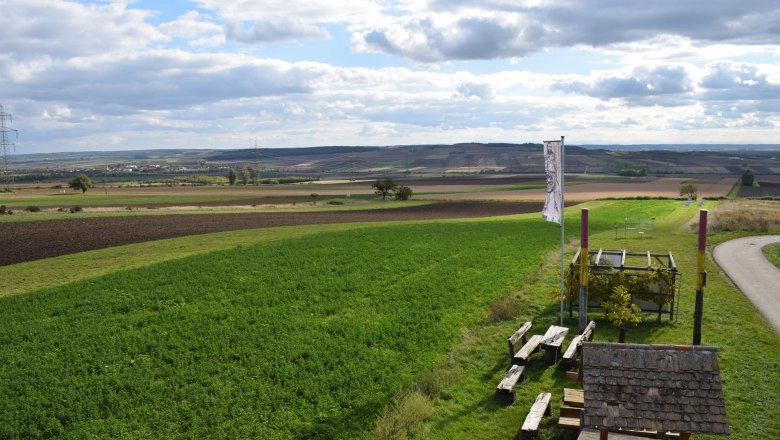 Blick auf das Areal der Fundstelle, © ARDIG Blick auf das Areal der Fundstelle, © ARDIG