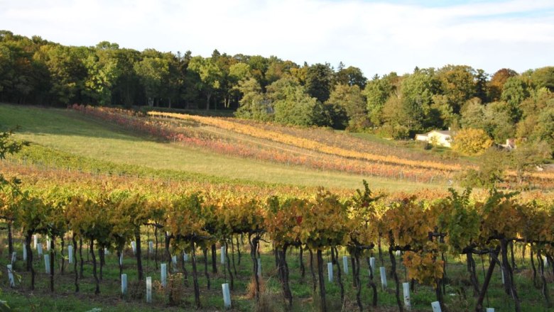 Barmhartstal, © Gemeinde Maria Enzersdorf Barmhartstal, © Gemeinde Maria Enzersdorf