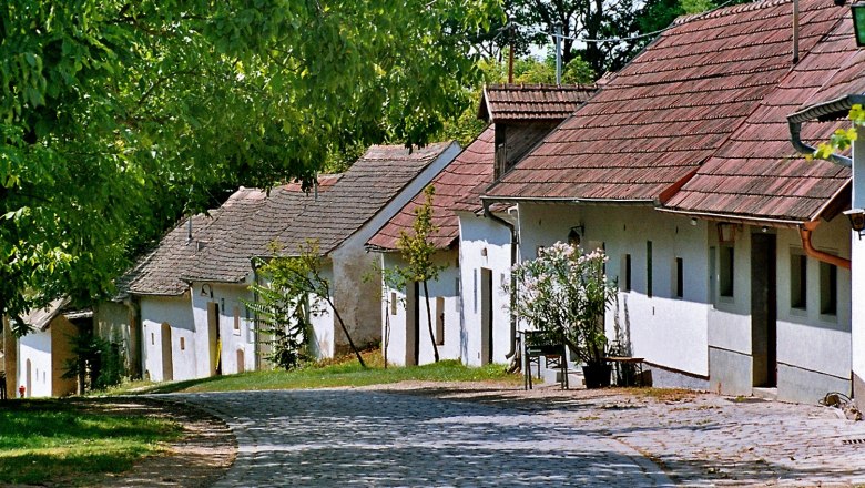 Kellergasse Pillichsdorf, © Thomas Falch Eine malerische Kellergasse mit alten, weißen Weinkellern und Kopfsteinpflaster in Pillichsdorf, umgeben von grünen Bäumen.