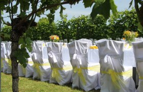 Tafeln im Weinviertel, © Weinviertel Tourismus GmbH Weiß gedeckte Tische mit gelben Akzenten in einem Weinberg.