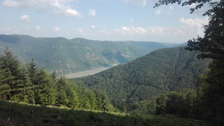 Ausblick vom Jauerling, © Romana Wiener Blick vom Jauerling auf bewaldete Hügel und einen Fluss unter blauem Himmel.