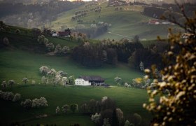 Fotopunkt St. Michael Süd, © schwarz-koenig.at Fotopunkt St. Michael Süd, © schwarz-koenig.at