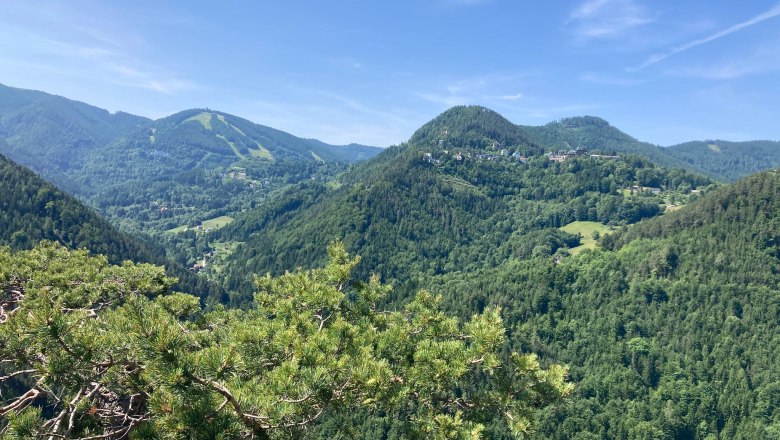 Weinzettlwand, © Doris Schweinhammer Blick auf grüne bewaldete Hügel unter blauem Himmel.