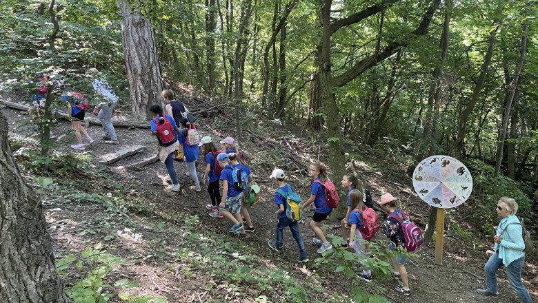 Naturpark im Wald - Josefspark 3, © Marktgemeinde Sieghartskirchen Naturpark im Wald - Josefspark 3, © Marktgemeinde Sieghartskirchen