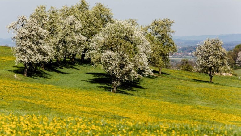 Fotopunkt Wachtberg Richtung St. Veit, © schwarz-koenig.at Fotopunkt Wachtberg Richtung St. Veit, © schwarz-koenig.at