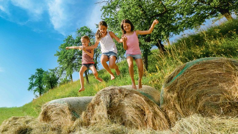 Abenteuer Bauernhof am Dorferhof, © schwarz-koenig.at Abenteuer Bauernhof am Dorferhof, © schwarz-koenig.at