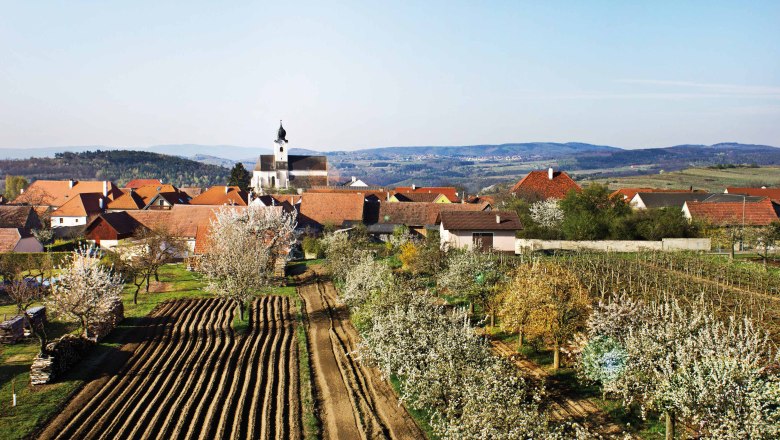 Gemeinde Stratzing, © Robert Herbst Ländliche Szene mit Kirche, blühenden Bäumen und Feldern in Stratzing.