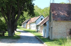 Stillfried Kellergasse, © Weinviertel Tourismus Eine malerische Kellergasse mit traditionellen Weinkellern und einem großen Baum im Vordergrund.