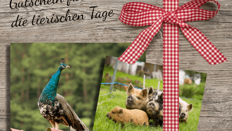 Gutschein für die tierischen Tage, © Edermühle Gutschein für die tierischen Tage, © Edermühle