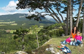 Burgruine Schrattenbach, © Wiener Alpen in Niederösterreich - Schneeberg Hohe Wand Burgruine Schrattenbach, © Wiener Alpen in Niederösterreich - Schneeberg Hohe Wand