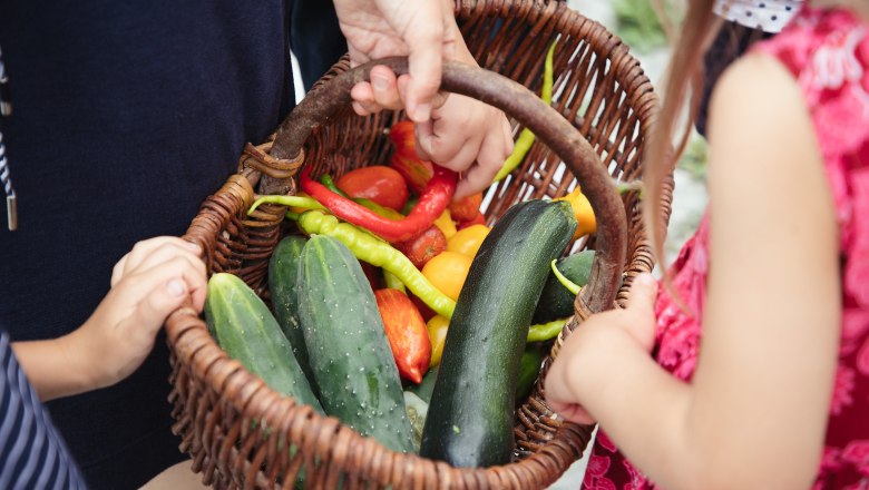 Erlesener Gemüsekorb, © Monika Pölzer Ein Korb voller frischem Gemüse, gehalten von mehreren Händen.