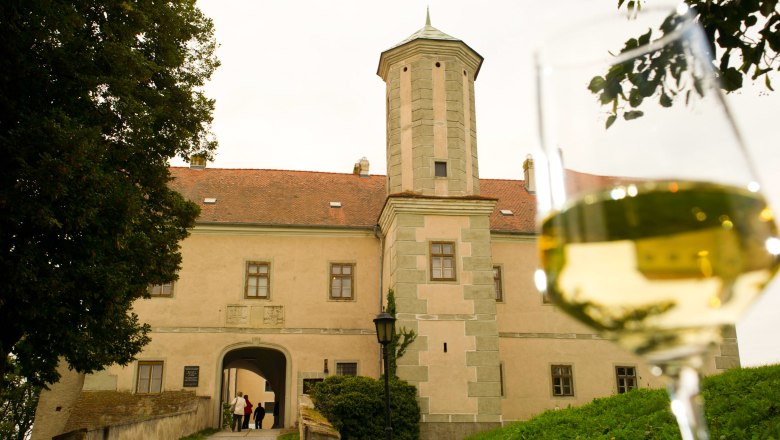 Weinviertler Kellergassenkulinarium, © Rita Newman Ein Glas Weißwein im Vordergrund mit Schloss Jedenspeigen im Hintergrund.