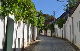 Kellergasse Bürsting, © Weinviertel Tourismus Eine gepflasterte Gasse mit weißen Häusern und Weinreben an den Fassaden unter blauem Himmel.