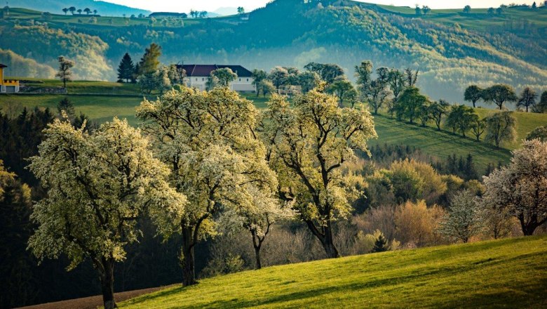 Fotopunkt Karl Lammerhuber Blick Südosten, © schwarz-koenig.at Fotopunkt Karl Lammerhuber Blick Südosten, © schwarz-koenig.at