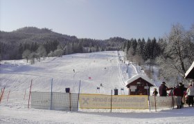 Das Skigebiet Riesenlehen, © Walter Kern Skigebiet mit Piste, Skifahrern und Wald im Hintergrund.