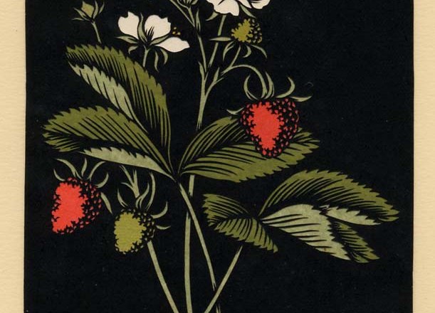 Mit farbigem Seidenpapier unterlegter Scherenschnitt, © mk Mit farbigem Seidenpapier unterlegter Scherenschnitt, © mk