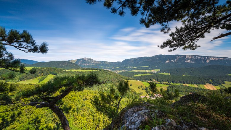 Ausblick von Schrattenbach, © Wiener Alpen, Christian Kremsl Panoramablick auf eine grüne Landschaft mit Hügeln und Bäumen, eingerahmt von Ästen im Vordergrund.