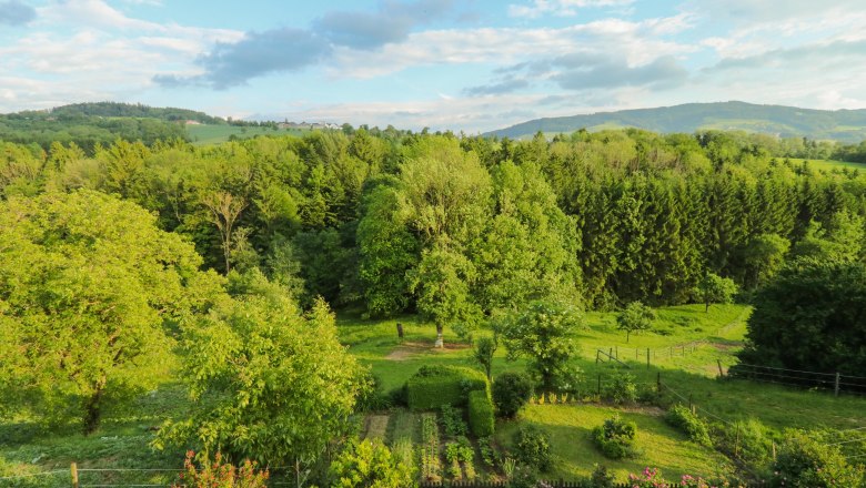 Traumhafter Ausblick ins Mostviertel, © Auer Hannes Traumhafter Ausblick ins Mostviertel, © Auer Hannes
