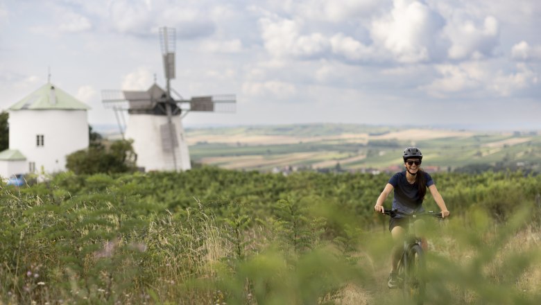 Retzer Windmühle, © Weinviertel Tourismus GmbH / Frühmann Eine Person fährt mit dem Fahrrad durch eine grüne Landschaft mit einer Windmühle im Hintergrund.