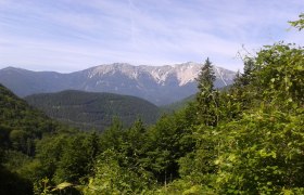 Blick von der Kaiserbenwiese zum Schneeberg, © Wiener Alpen in Niederösterreich - Schneeberg Hohe Wand Blick von der Kaiserbenwiese zum Schneeberg, © Wiener Alpen in Niederösterreich - Schneeberg Hohe Wand