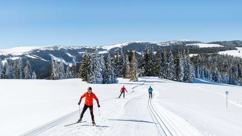 Traumhafte Ausblicke auf der Wechsel-Panoramaloipe, © ARGE Langlauf, Zwickl Langläufer auf einer schneebedeckten Loipe mit verschneiten Bäumen und Bergen im Hintergrund.