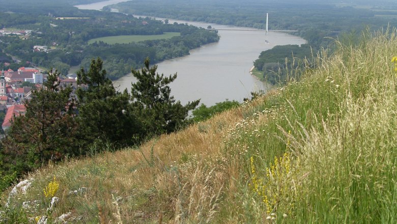 Aussicht Braunsberg, © Gästeinfobüro Hainburg/Donau Blick vom Braunsberg auf die Donau und umliegende Landschaft.