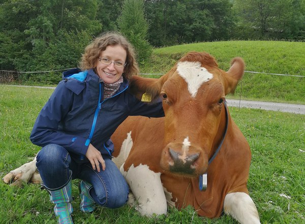 Ilsinger und Kuh, © Familie Erber Ilsinger und Kuh, © Familie Erber