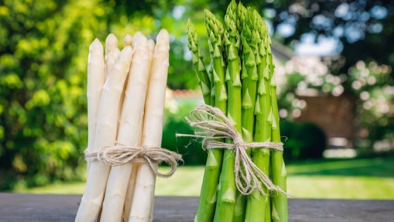 Spargel, © Fam Edlinger Spargel, © Fam Edlinger