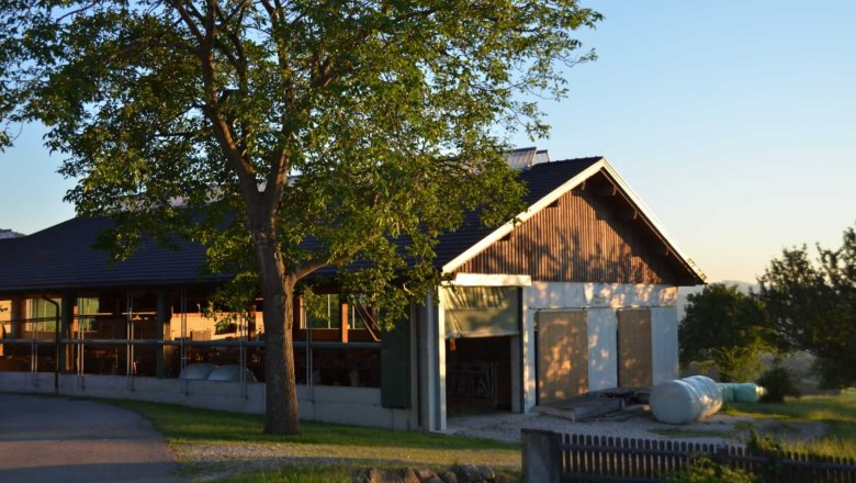 Milchliebe, Wegbauernhof, © Helen Brandstetter Milchliebe, Wegbauernhof, © Helen Brandstetter