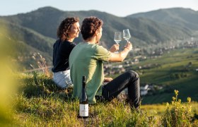 Gästehaus-Winzerhof Bernhard, © Jolly Schwarz Zwei Personen sitzen auf einem Hügel und stoßen mit Weingläsern an, im Hintergrund eine Berglandschaft.