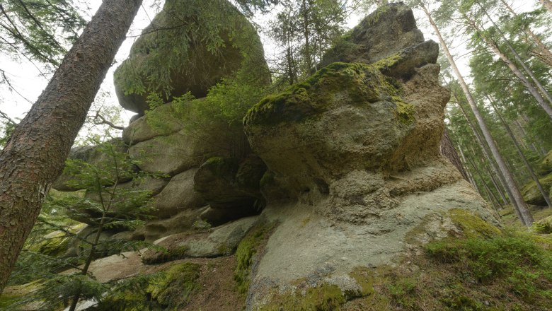 Gletschermühle Flesengarten Lembach, © Matthias Schickhofer Große Felsformation im Wald mit Moos bedeckt.