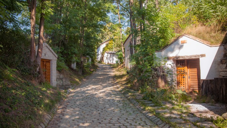 Kellergasse Oberkreuzstetten, © Alexander Smyczko Ein gepflasterter Weg führt durch einen Wald mit kleinen, in den Hang gebauten Häusern.