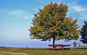 Rastplatz bei Litschau, © Stadtgemeinde Litschau Rastplatz bei Litschau, © Stadtgemeinde Litschau