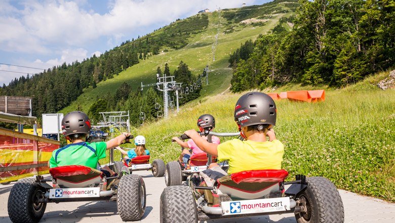 Mit den Mountaincarts geht's flott ins Tal, © Lindmoser Personen fahren mit Mountaincarts einen Berg hinunter.