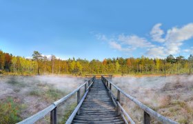 Prügelsteg im Naturpark Heidenreichsteiner Moor, © Horst Dolak Prügelsteg im Naturpark Heidenreichsteiner Moor, © Horst Dolak