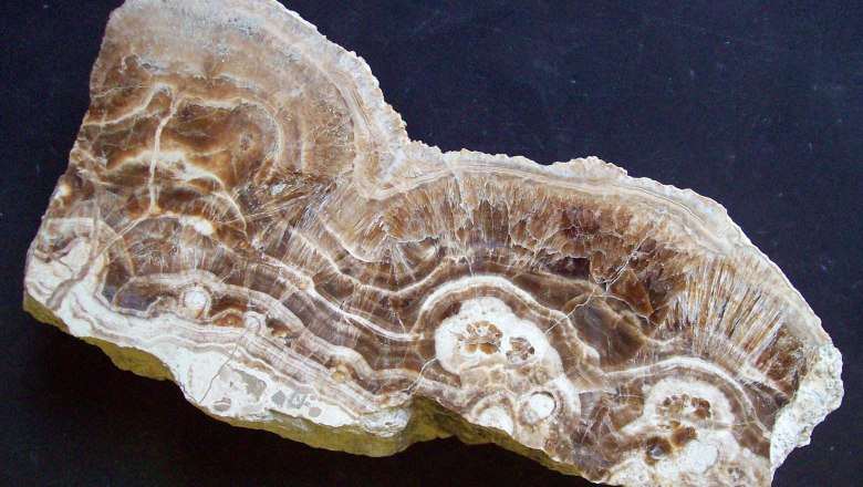 Aragonit Jennyberg, © thinschmidt Nahaufnahme eines Aragonit-Minerals mit braunen und weißen Schichten.