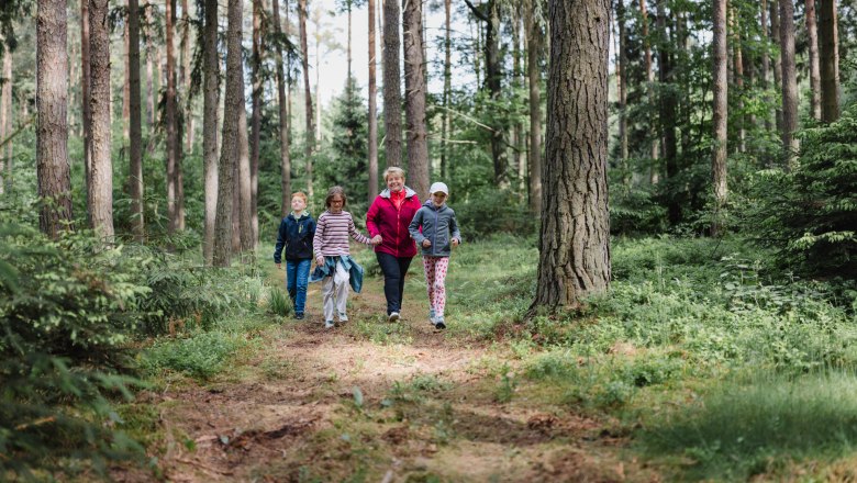 Naturerlebnis Heilwald Göttweig, © Alexander Pfeffel Photography Eine Gruppe von Menschen spaziert auf einem Waldweg im Heilwald Göttweig.