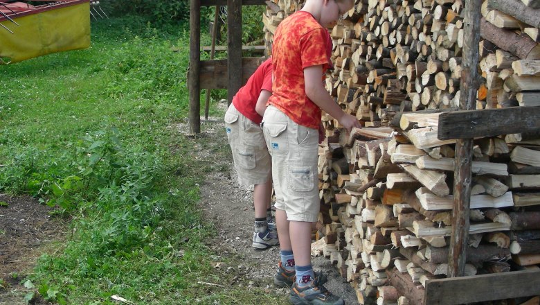 Hinter dem Holzhaufen kann man sich gut verstecken, © Giefing Hinter dem Holzhaufen kann man sich gut verstecken, © Giefing